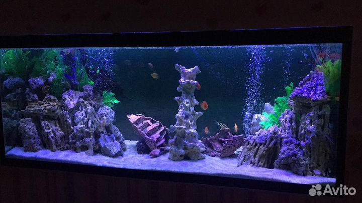 Обслуживание (чистка) аквариума