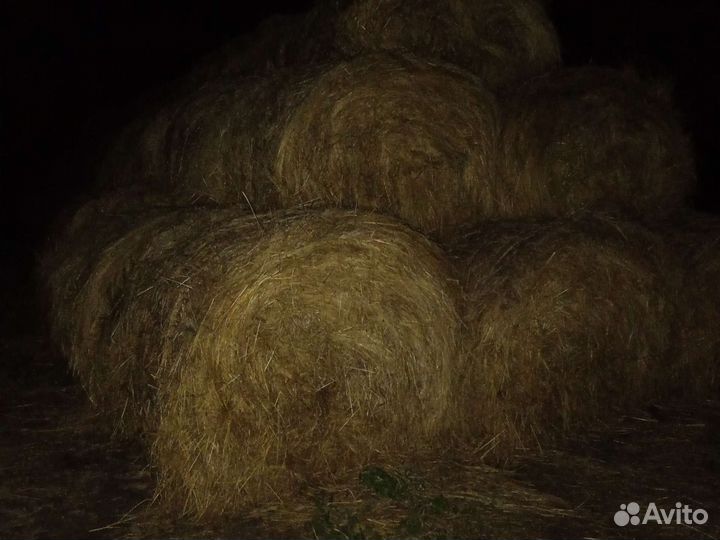 Сено в тюках