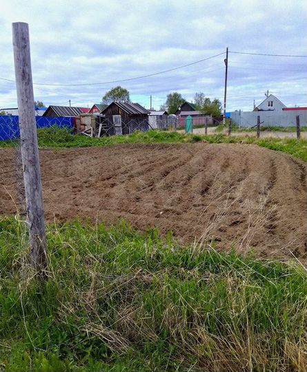 Участок 5,5 сот. (ИЖС)