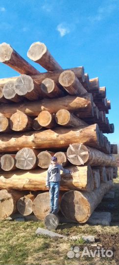 Отборный лес. Кругляк