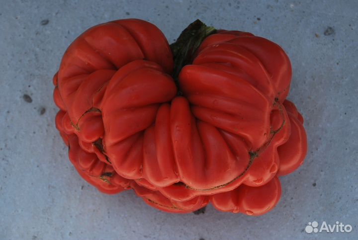 Семена редких сортов томатов