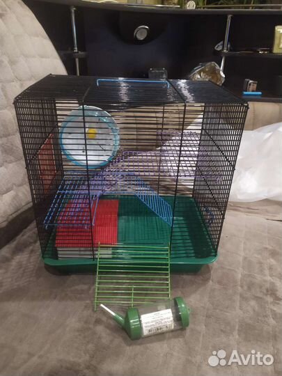 Клетка для джунгарского хомяка