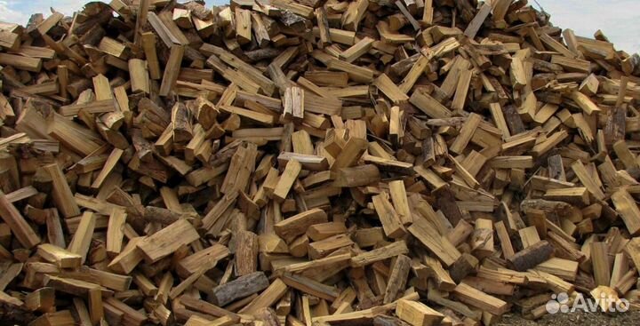 Дрова понимающих