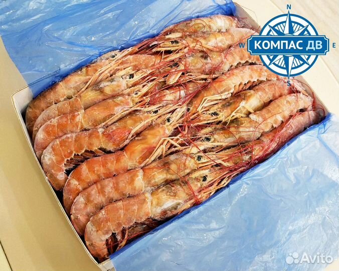 Креветки, лангустины отличного качества доставка