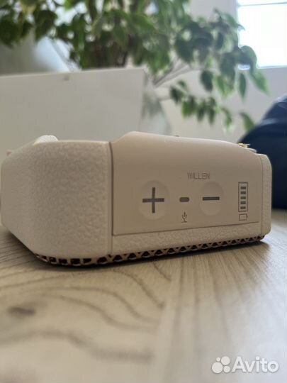 Колонка marshall willen