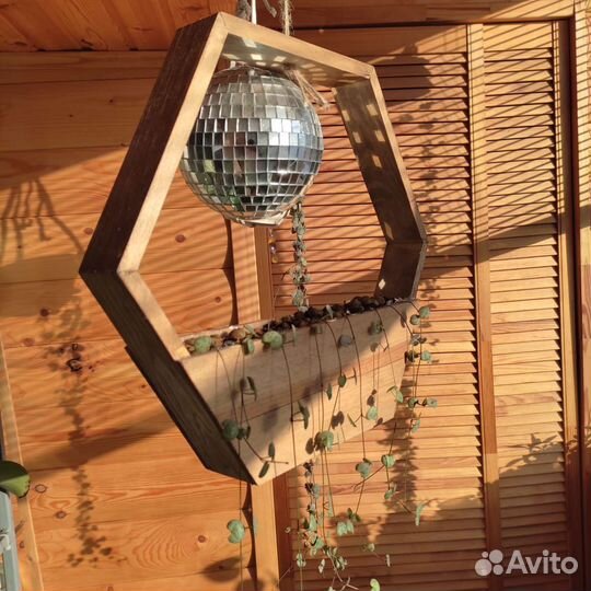 Церопегия в деревянном кашпо