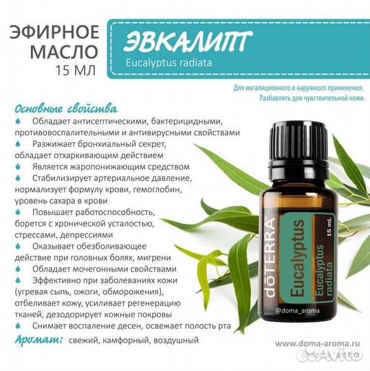 Эфирные масла для повышения иммунитета