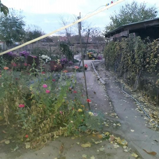 Коттедж 50 м² на участке 10 сот.