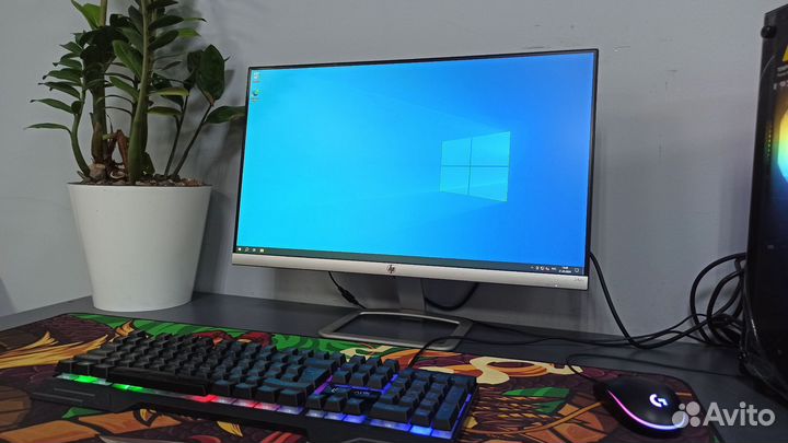 Монитор HP 24 дюйма ips