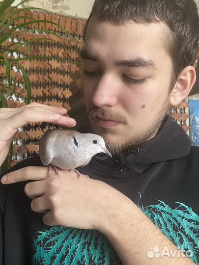 Работа на постоянной основе