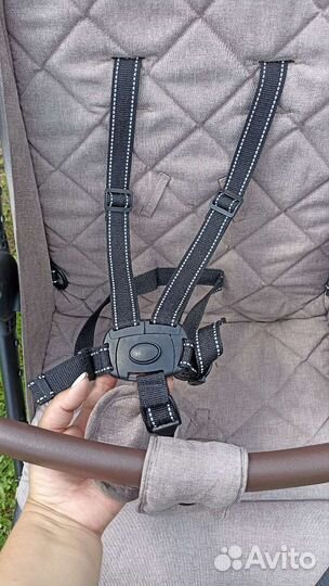 Коляска прогулочная carello bravo