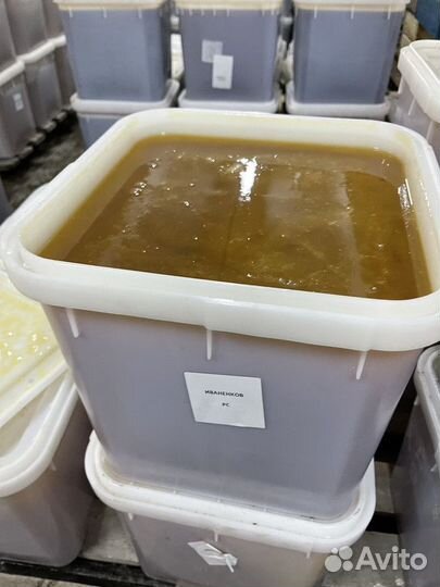 Свежий эспарцетовый мёд. Качка 2023 Оптом