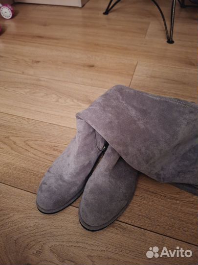 Сапоги женские ботфорты