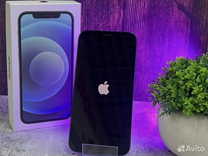iPhone 12, 256 ГБ