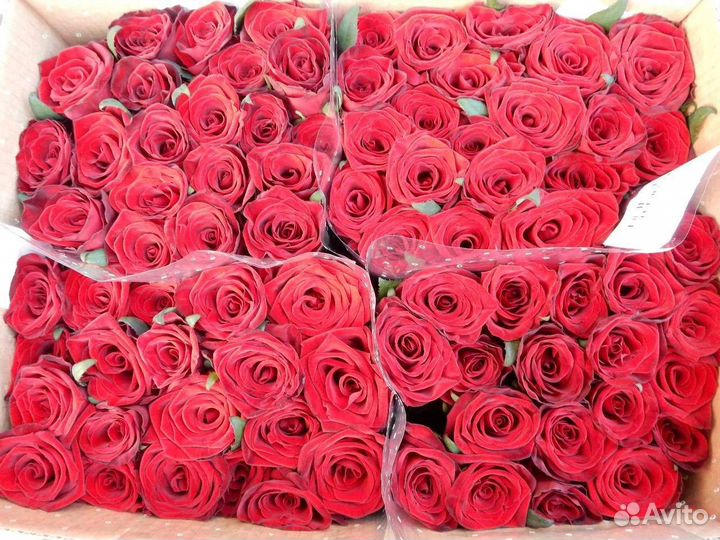 Цветы розы букет