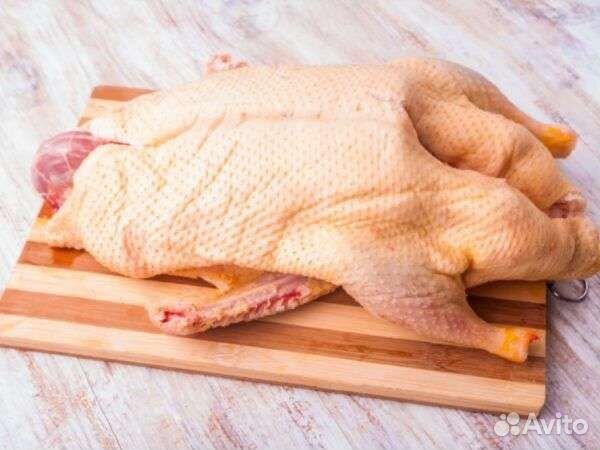 Мясо гуся