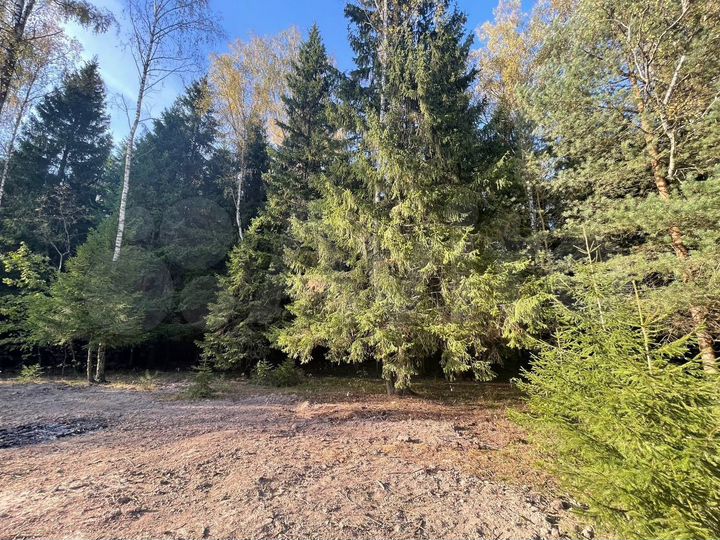 Участок 5 сот. (ИЖС)