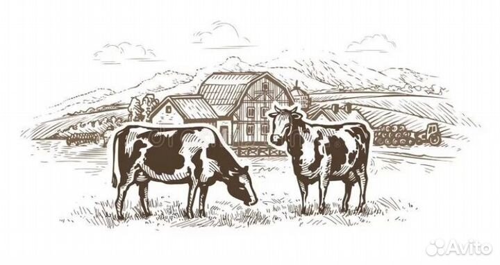 Молочные продукты