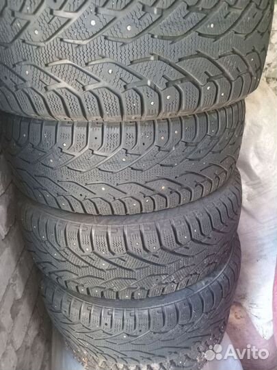 Accelera 651 5.00/5 R5.5