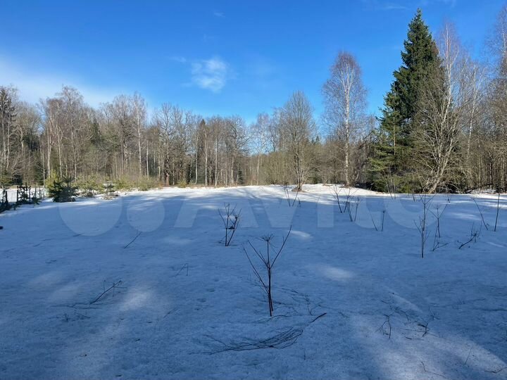 Участок 15 сот. (ИЖС)