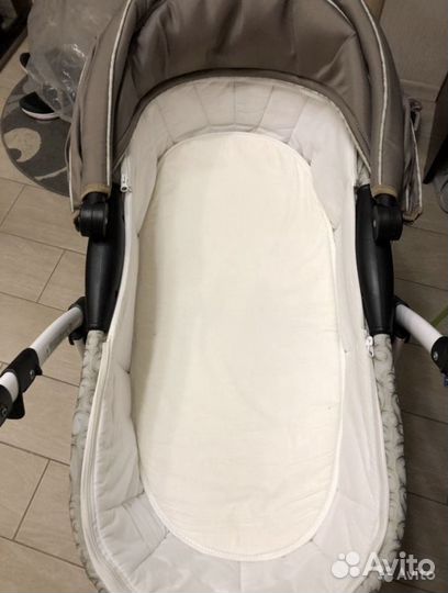 Коляска Adamex champion 2 в 1