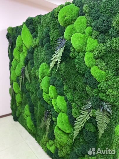 Стабилизированный Мох.Озеленение.Фитостена.Ремонт