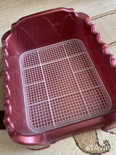 Кошачий лоток