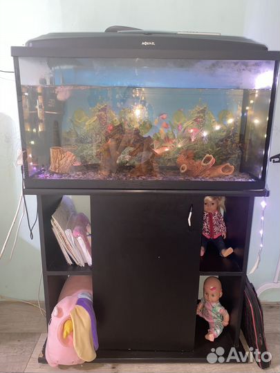 Аквариум с рыбками