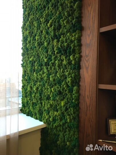 Панели из стабилизированного мха