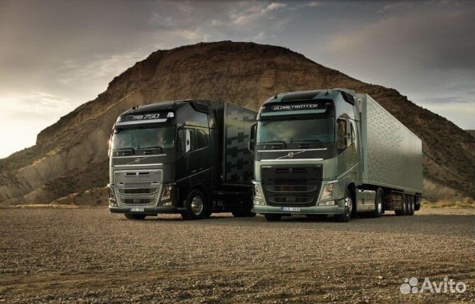 Водитель категории Е (на межгород)