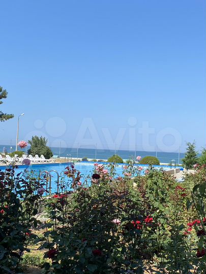 Комната 19 м², 1/3 эт.