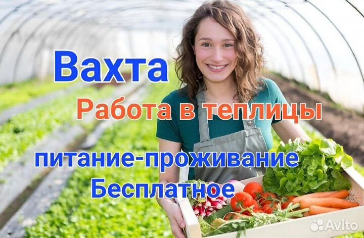 Разнорабочие в теплицу 15 смен Вахта без мед.книж
