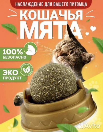 Кошачья мята