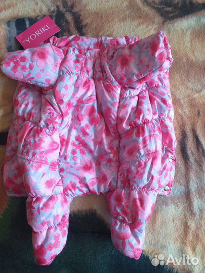 Костюм для собаки