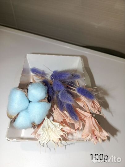 Сухоцветы для творчества(стабилизированные)