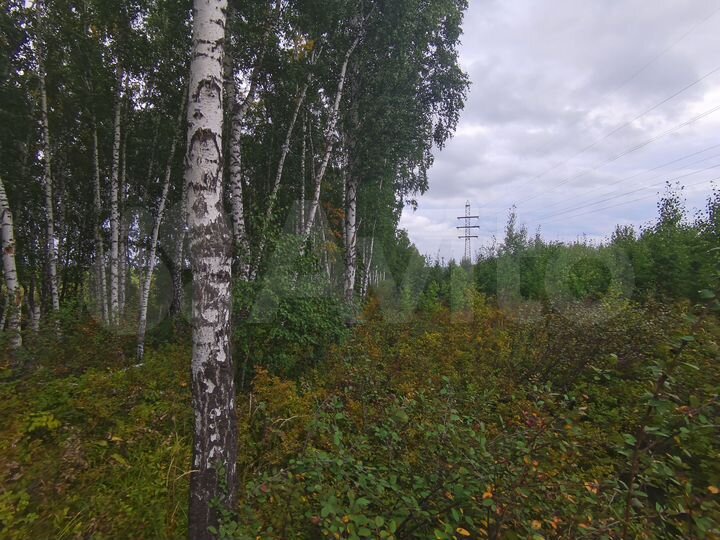Участок 14 сот. (СНТ, ДНП)