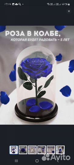 Стабилизированная Вечная роза в колбе