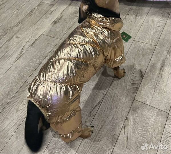 Зимняя куртка для собаки (таксы)