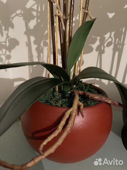 Орхидеи искусственные, латекс