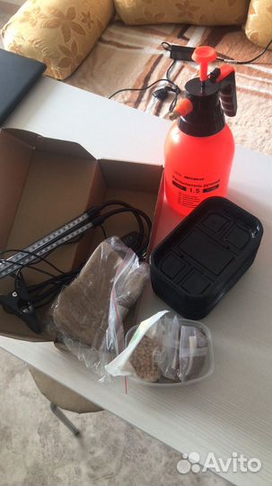 Набор для выращивания микрозелени