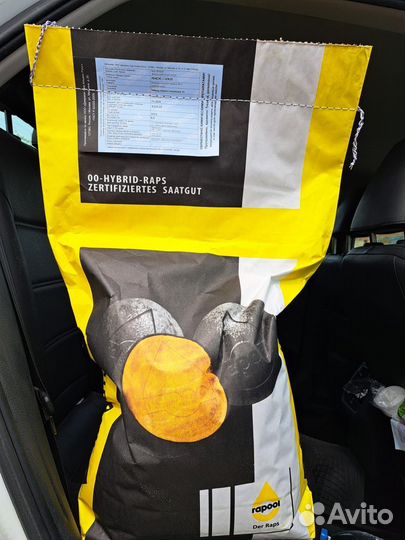 Семена Рапса