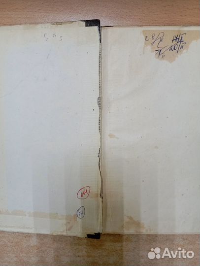 Чехов, А.П. Драма на охоте