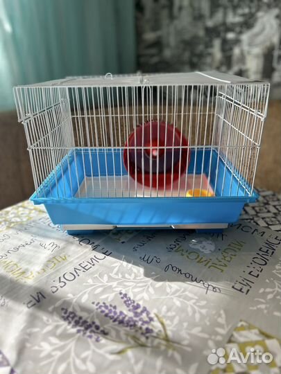 Клетка для хомяка бу
