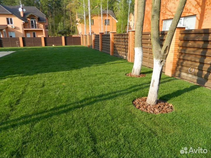 Рулонный газон под ключ