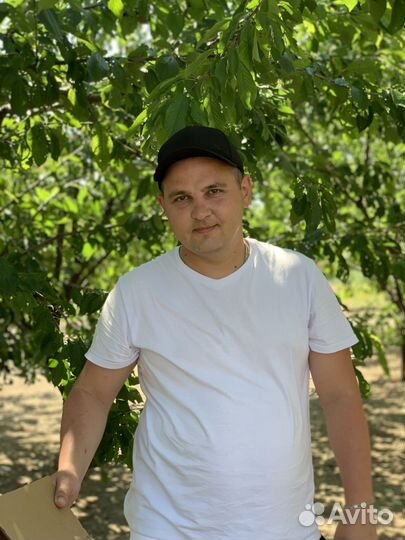 Тер. Шеф-повар, Шеф-повар