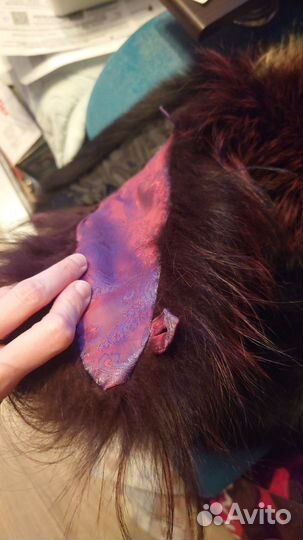 Меховой воротник