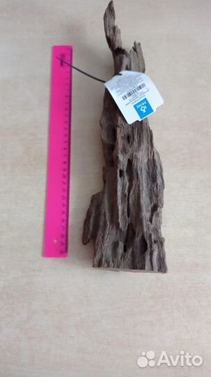 Коряга мангровая