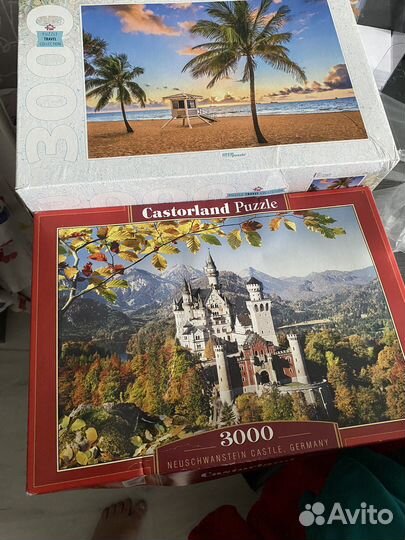 Пазл 3000