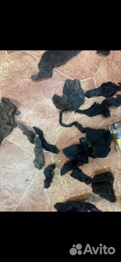 Куски лоскуты нутрии