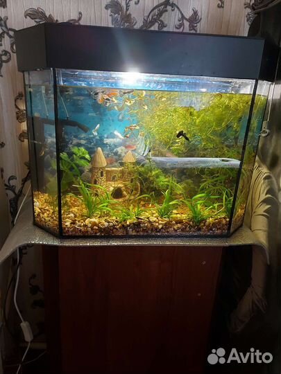 Аквариум с тумбой